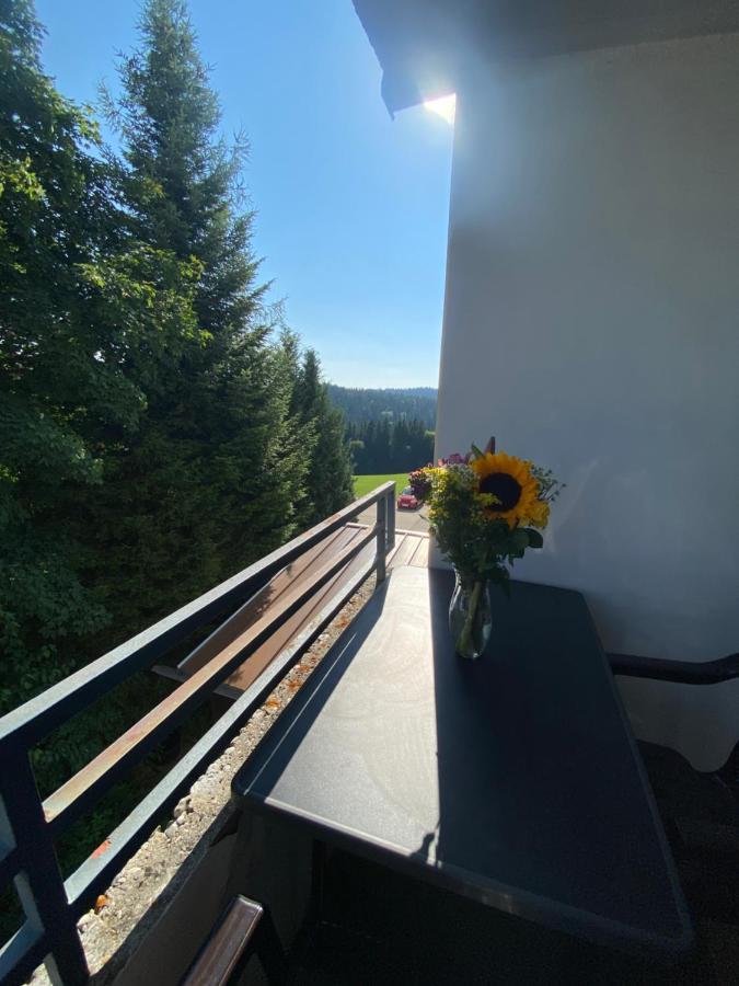Dreisessel Dreilaendereck Pool Sauna Neureichenau Exteriér fotografie