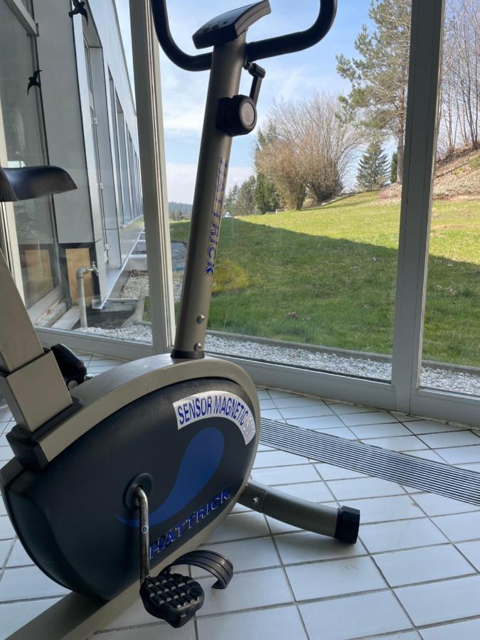 Dreisessel Dreilaendereck Pool Sauna Neureichenau Exteriér fotografie